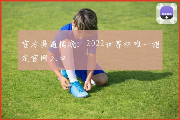 官方渠道揭晓:2022世界杯唯一指定官网入口