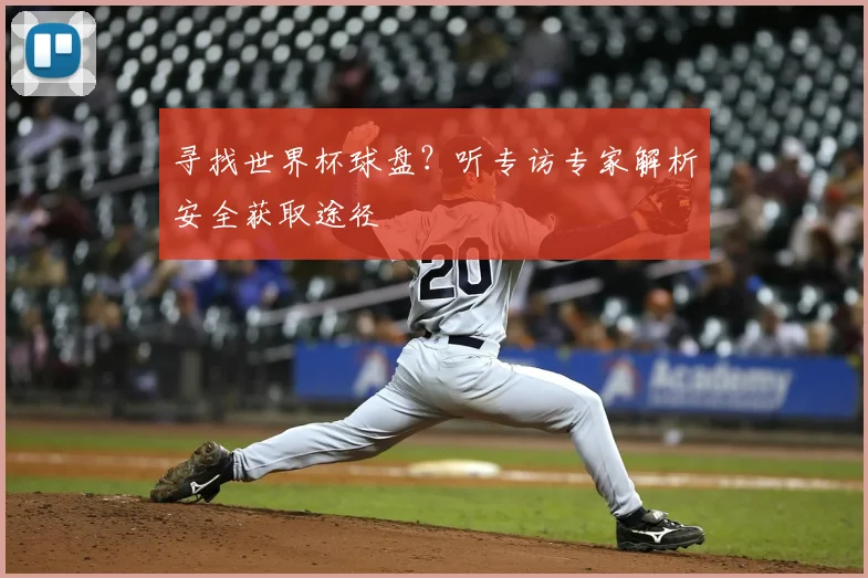寻找世界杯球盘？听专访专家解析安全获取途径