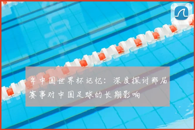 年中国世界杯记忆：深度探讨那届赛事对中国足球的长期影响