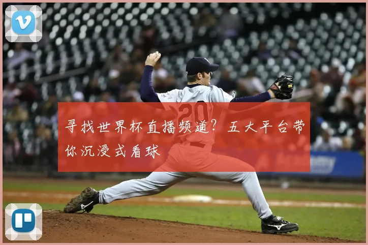 寻找世界杯直播频道？五大平台带你沉浸式看球