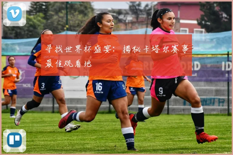寻找世界杯盛宴：揭秘卡塔尔赛事最佳观看地