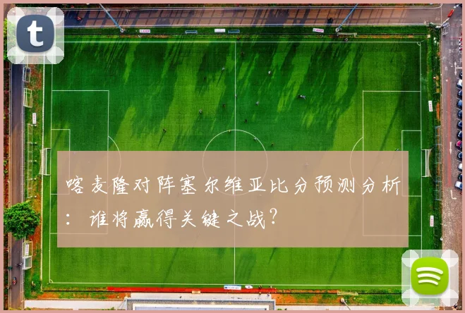 喀麦隆对阵塞尔维亚比分预测分析：谁将赢得关键之战？