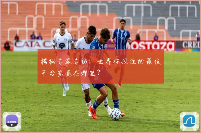 揭秘专家专访：世界杯投注的最佳平台究竟在哪里？